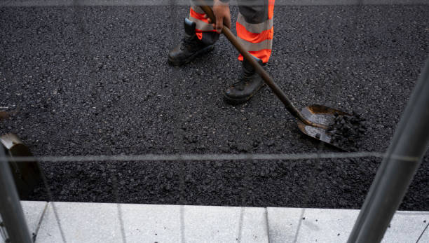 Professional Driveway Paving  in Billings, MT